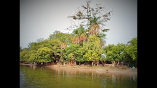 Belle chanson sérère 4 Sénégal [upl. by Garretson]