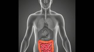 Is Colon Resection A Major Surgery [upl. by Nybor]