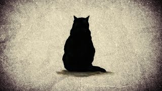 LE CHAT NOIR  Edgar Allan Poe livre audio [upl. by Melnick]