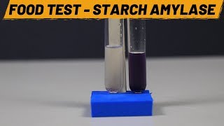 Food Test  Starch Amylase  ThinkTac [upl. by Nnyliak827]