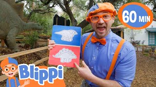 Blippi Explores The Dinosaur Natural History Museum  Educational Videos for Kids [upl. by Carnahan]