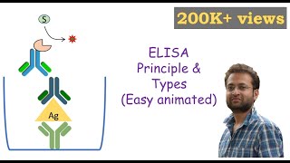 ELISA Enzymelinked Immunosorbent Assay [upl. by Edla]