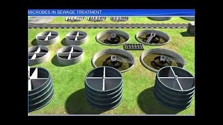 CBSE Class 12 Biology  Microbes In Sewage Treatment [upl. by Whitford]