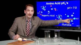 Amino Acid pKa [upl. by Singleton897]