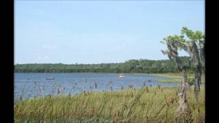 Ocean Pond  Olustee Florida [upl. by Ahker]