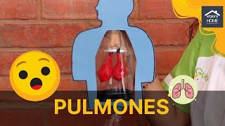 PULMONES CASEROS CON GLOBOS Y UNA BOTELLA [upl. by Navada]