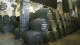 Sherry Wine of Andalucía [upl. by Prober]