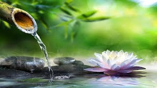 Relaxing Music with Soothing Water Sound [upl. by Letti]