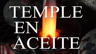 ¿QUE ACEITE USO PARA TEMPLAR [upl. by Nodnalb]