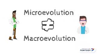 Microevolution vs Macroevolution [upl. by Htomit]