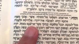 Hebrew Reading Practice Shema second paragraph [upl. by Omer]