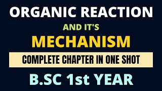 Organic Reaction and Mechanism Complete Chapter In One Shot  BSC 1st Year Organic Chemistry [upl. by Schach354]