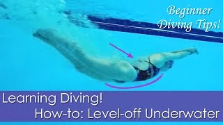 Beginner Learning Diving Howto Leveloff Underwater [upl. by Eninaej]