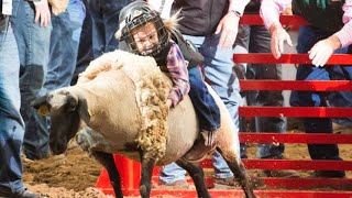 Watch highlights from San Antonio Rodeos mutton bustin [upl. by Akel]