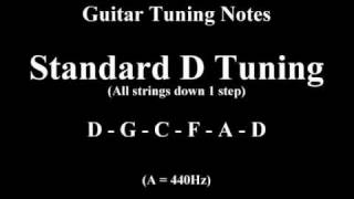 Guitar Tuning Notes  1 Step Down [upl. by Alegnasor]