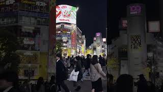 Shibuya Crossing Tokyo Japan [upl. by Clareta304]