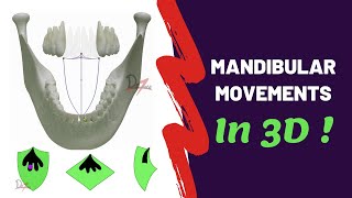 Mandibular Movements in 3D  SUPER EASY [upl. by Feledy224]