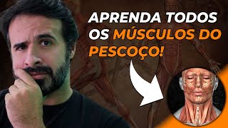 APRENDA TODOS OS MÚSCULOS DO PESCOÇO DE UMA VEZ POR TODAS [upl. by Ailehpo]