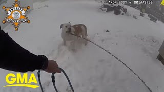 Police officer rescues dog tethered to burning house [upl. by Delmore163]