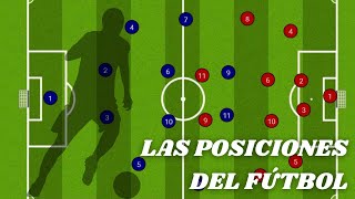 LAS POSICIONES EN EL FÚTBOL  Características funciones y roles de los jugadores de fútbol [upl. by Dafodil]