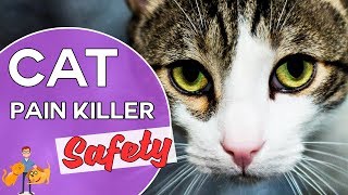 Is Metacam Safe for Cats reducing pain killer side effects in cats [upl. by Kronfeld]