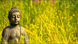 Zen Entspannungsmusik Wellness amp Regeneration Yoga Musik Tiefenentspannung amp Meditation [upl. by Lidaa724]