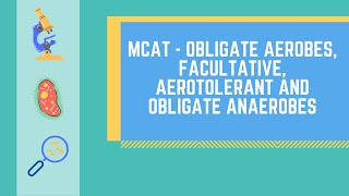 Obligate Aerobes Obligate Anaerobes Facultative Anaerobes and Aerotolerant Anaerobes [upl. by Einttirb]