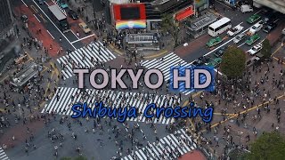 Shibuya Crossing Tokyo Rush Hour Cars Traffic in Japan with Busy Crowd of People on Shopping Street [upl. by Hluchy758]