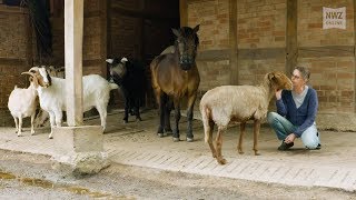 Hagelhof Der Gnadenhof mit exotischen Tieren [upl. by Witte]