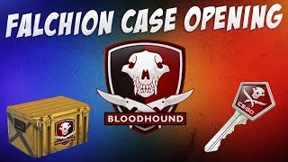 CSGO  Falchion Case Opening 8 [upl. by Magen161]