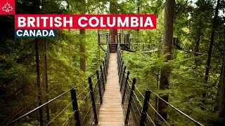 Canada Road Trip Best Things To Do In British Columbia [upl. by Elleuqram174]