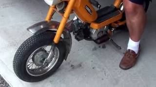 Test run on my Dads Garelli Moped [upl. by Karole]