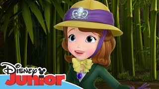 Sofia the First  Stronger Than You Know  Official Disney Junior Africa [upl. by Malachy]