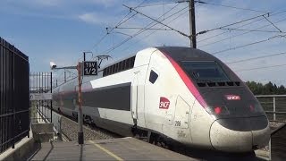 AVIGNON TGV [upl. by Ahsinna339]