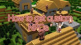 How To Change Your Minecraft Comes Alive NPCs Skin [upl. by Diaz]