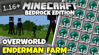 OVERWORLD EASY ENDERMAN FARM Minecraft Bedrock Early Game 116 [upl. by Arjun116]