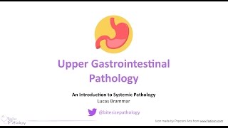 Upper Gastrointestinal GI Pathology  Introduction to Systemic Pathology [upl. by Clarke]