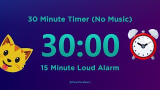 30 minute Timer  Countdown No Music [upl. by Durand]