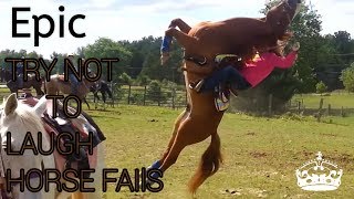 Try not to laugh  horse fails [upl. by Alleunamme]