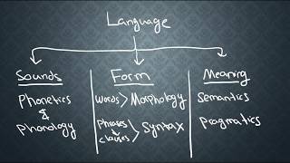 SEMANTICS1 What is Semantics [upl. by Siddon]