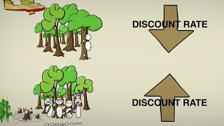 CostBenefit Discounting [upl. by Hathcock80]