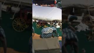 Miniature Circus At Ringling Brothers Museum [upl. by Dryden]