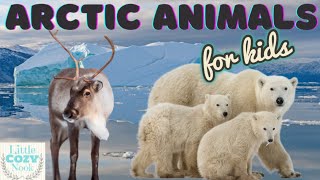 Arctic Animals For Kids Educational READ ALOUD for Children [upl. by Sparkie969]