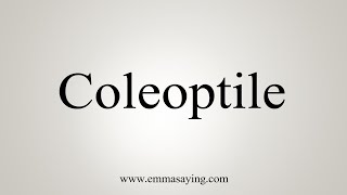 How To Say Coleoptile [upl. by Islek]