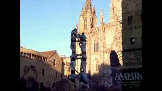 Torres humanas Castells  Barcelona [upl. by Alarise945]