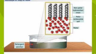 Cleansing Action Of Soap [upl. by Inan]