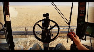 🔴Live First Harvest Livestream 2018  Welker Farms Inc [upl. by Rosenblast]