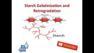 Starch Gelatinization and Retrogradation  Food Technology [upl. by Spiros145]