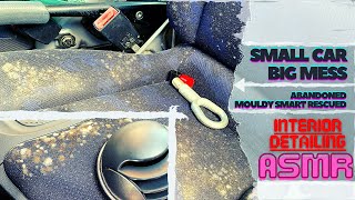 How I Cleaned Mold In a Disgusting Abandoned Smart  Interior Car Cleaning Disaster Detail  ASMR [upl. by Junna420]