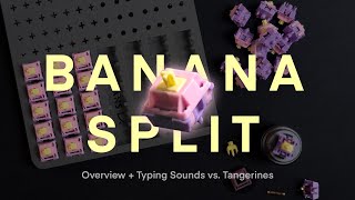 Is The Hype Real Banana Split Switch Overview [upl. by Manard]